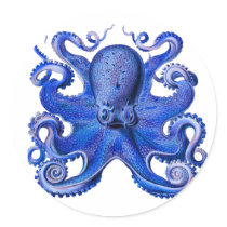Haeckel Octopus Blue Stickers