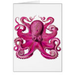 Haeckel Octopus Pink Greeting Cards