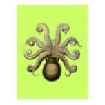 Haeckel Octopus Post Cards