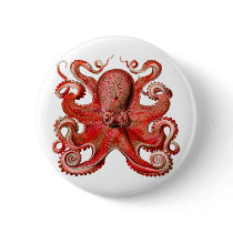 Haeckel Octopus Red buttons