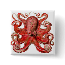 Haeckel Octopus Red Pinback Buttons