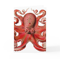 Haeckel Octopus Red Cards