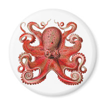 Haeckel Octopus Red Magnet