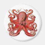 Haeckel Octopus Red Magnet