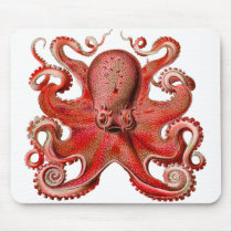 Haeckel Octopus Red mousepads by tartanphoenix Haeckel Octopus Red mousepads