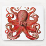 Haeckel Octopus Red Mouse Pads