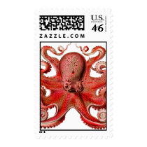 Haeckel Octopus Red Postage Stamp