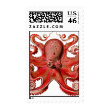 Haeckel Octopus Red Postage Stamp