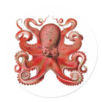 Haeckel Octopus Red stickers by tartanphoenix Haeckel Octopus Red stickers