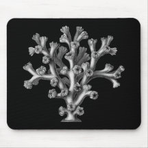 Haeckel Sea Coral Mousepad #1