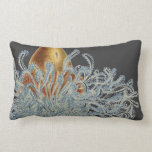 Haeckel vintage sealife pillows