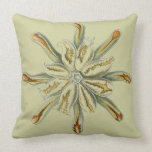 Haeckel vintage sealife pillows