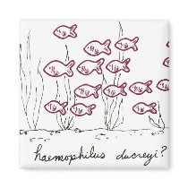 Haemophilus Ducreyi magnet by bio_muse Haemophilus Ducreyi magnet