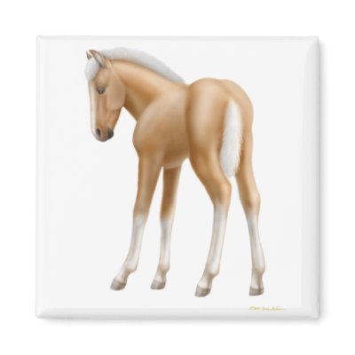 Haflinger Foal Magnet by twopurringcats