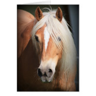 Haflinger Horse Card