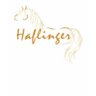  - This equestrian design features the image of a Haflinger horse with its classic flaxen mane and tail and text that says "Haflinger" across the body of the horse. Makes a great horse gift for equestrians who love Haflinger horses!: Sizes  Available colors: black