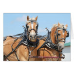 Haflinger Horses Greeting Card