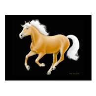 Haflinger Palomino Horse Postcard