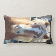 Haflinger Pillows