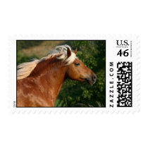 Haflinger postage postage