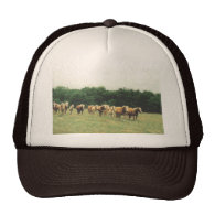 Haflingers Cap Hat
