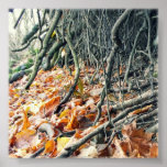 Hafren river bank print