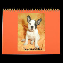 Haggie Calendar