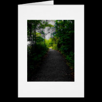 Hagley Park cards