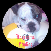Hagorama Studios Sticker stickers