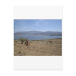 Haik Postcards