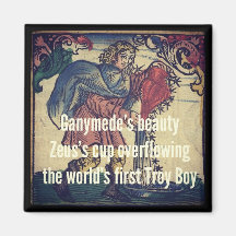 Haiku Fridge Magnet - Aquarius
