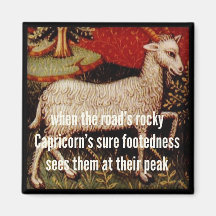 Haiku Fridge Magnet - Capricorn