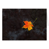 autumn, leaf, water, ripple, rocks, Card with custom graphic design