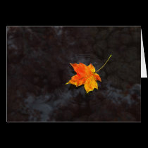 Haiku Greeting Card cards