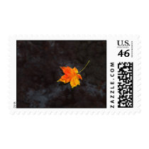 Haiku Postage