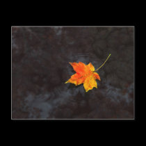 Haiku Postcard