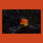 autumn, leaf, creek, pond, ripple, fall, desktop