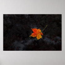 autumn, leaf, creek, pond, ripple, fall, desktop wallpaper, Poster with custom graphic design