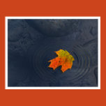 haiku, leaf, maple, water, rocks,
