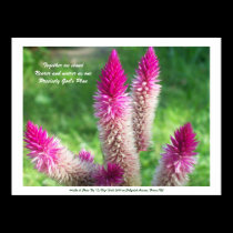 Haiku Posters by Tanya Ndip posters