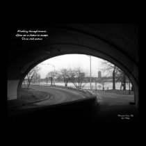 Haiku Posters by Tanya Ndip posters