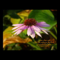 Haiku Posters by Tanya Ndip posters