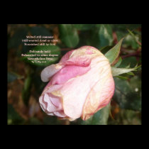 Haiku Posters by Tanya Ndip posters