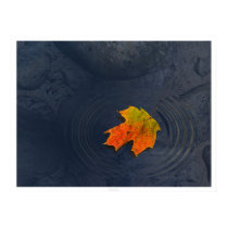 Haiku posters by digitalblasphemy Haiku posters