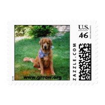 hailey postage