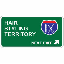 Hair Styling Next Exit photo sculptures