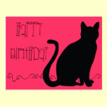 Hairball Funny Cat Birthday postcards
