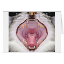 Hairballs Cards
