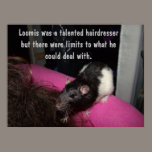 hairdresser rat poster posters