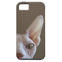 Hairless Sphynx Cat iPhone Case iPhone 5 Covers